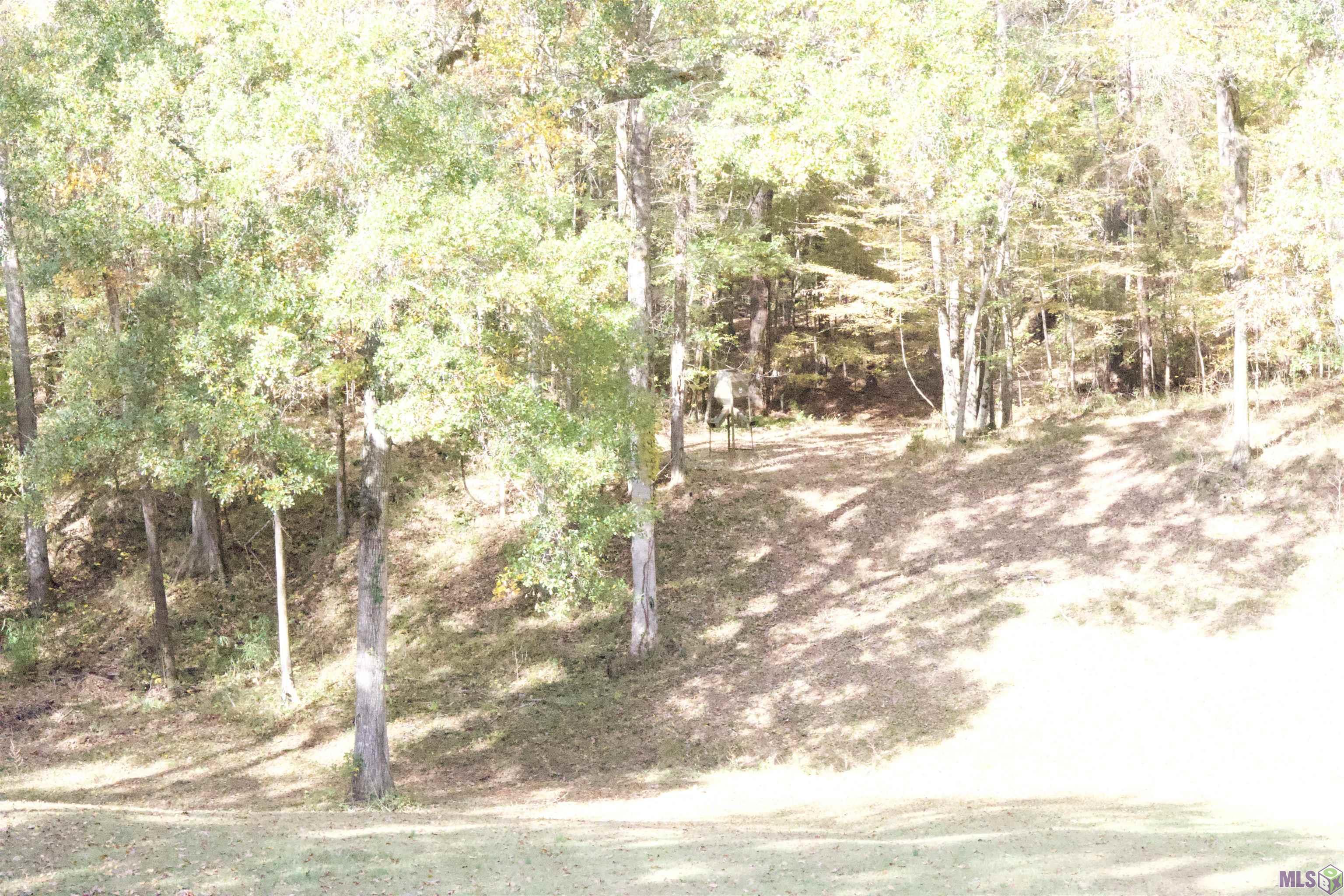 129 Ogden Road Natchez, MS 39120 - Photo 27 of 60