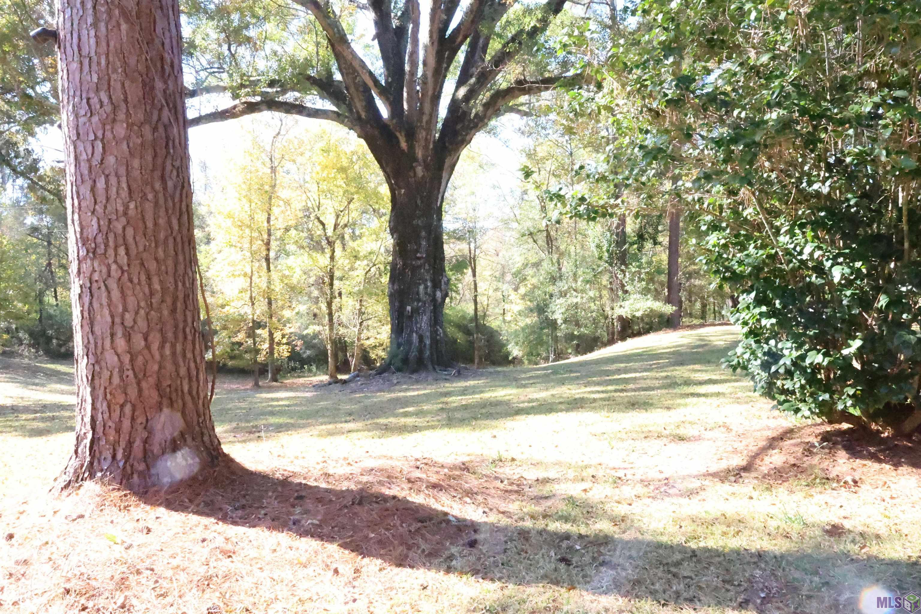 129 Ogden Road Natchez, MS 39120 - Photo 28 of 60