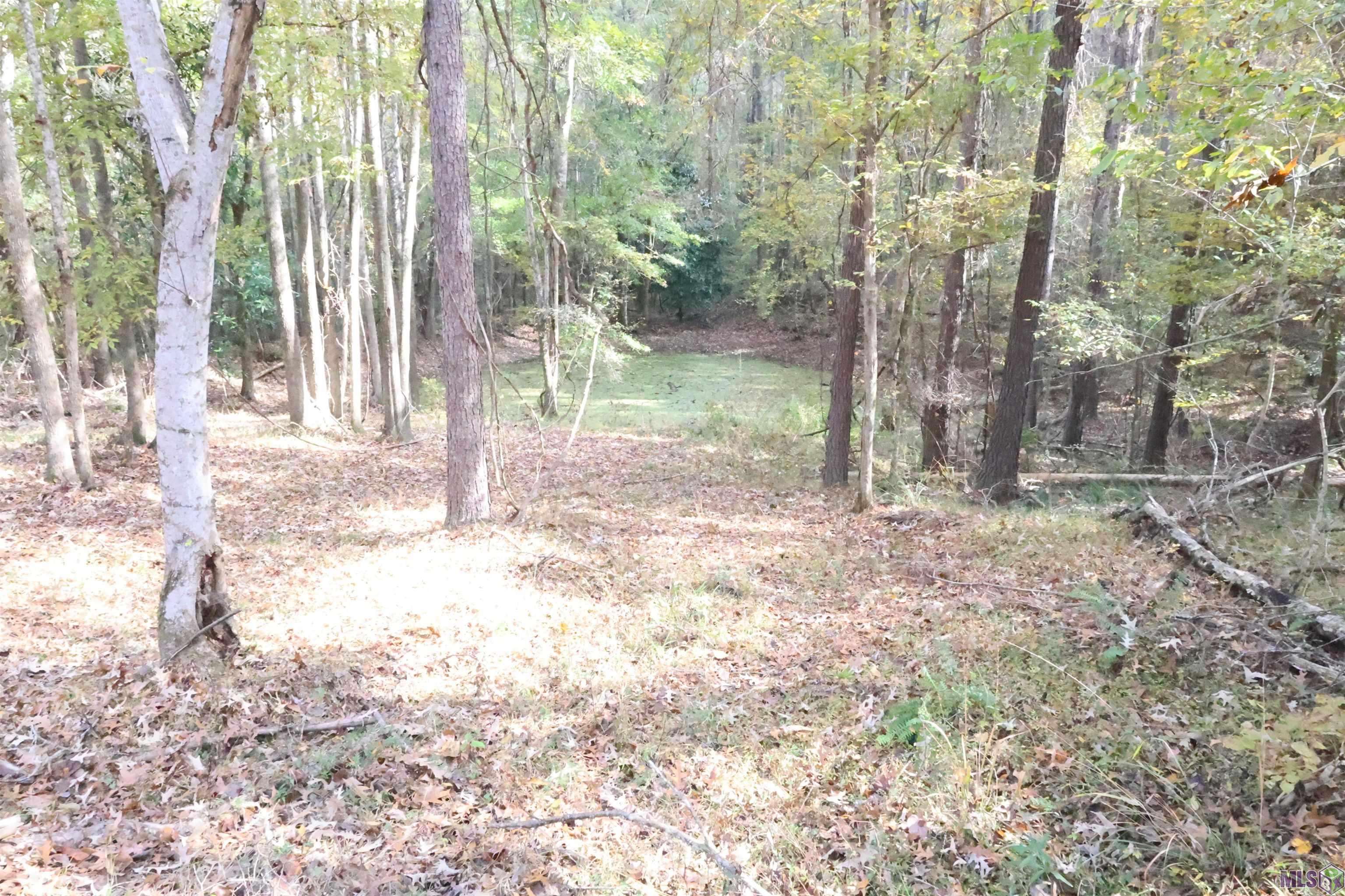 129 Ogden Road Natchez, MS 39120 - Photo 49 of 60