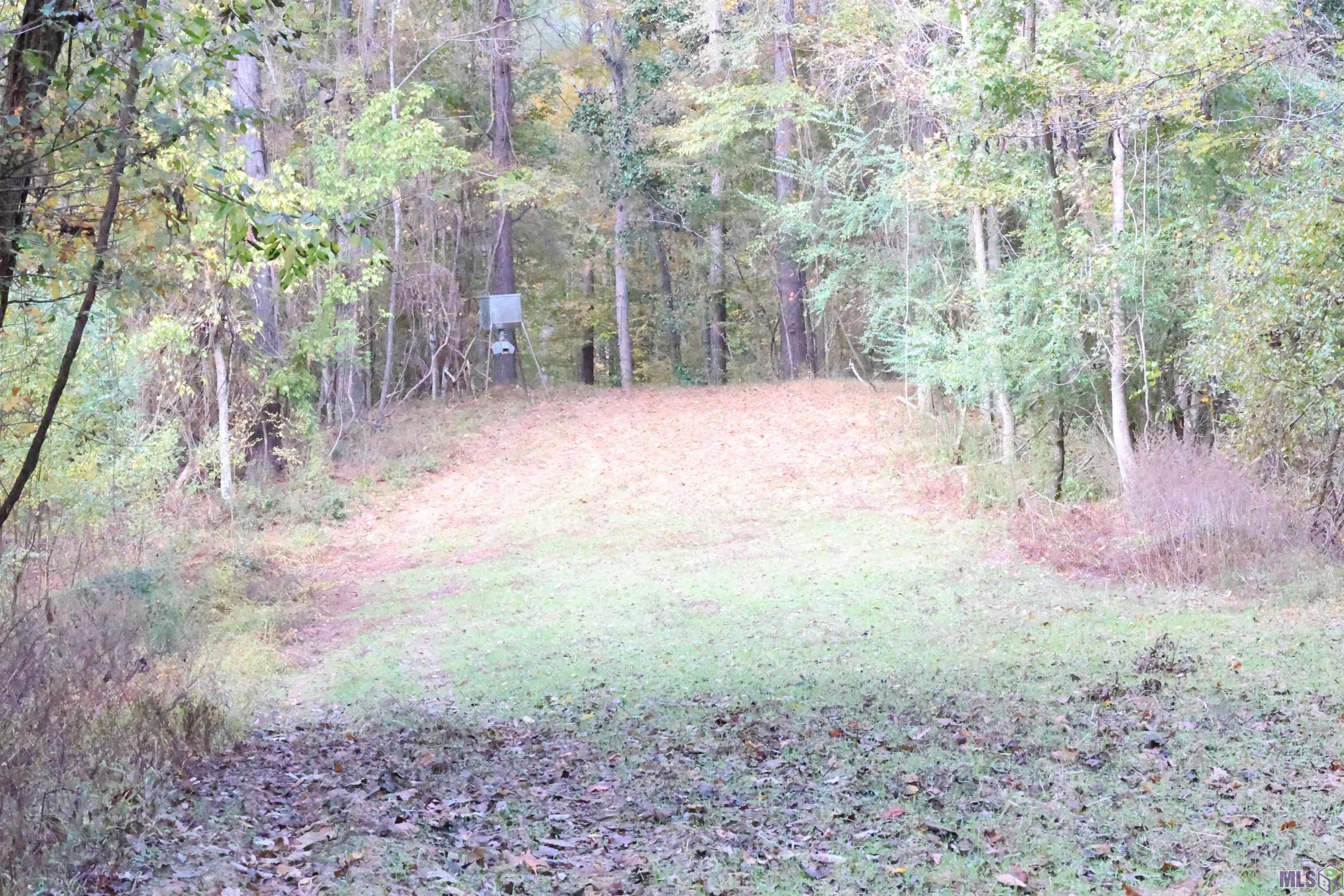 129 Ogden Road Natchez, MS 39120 - Photo 50 of 60