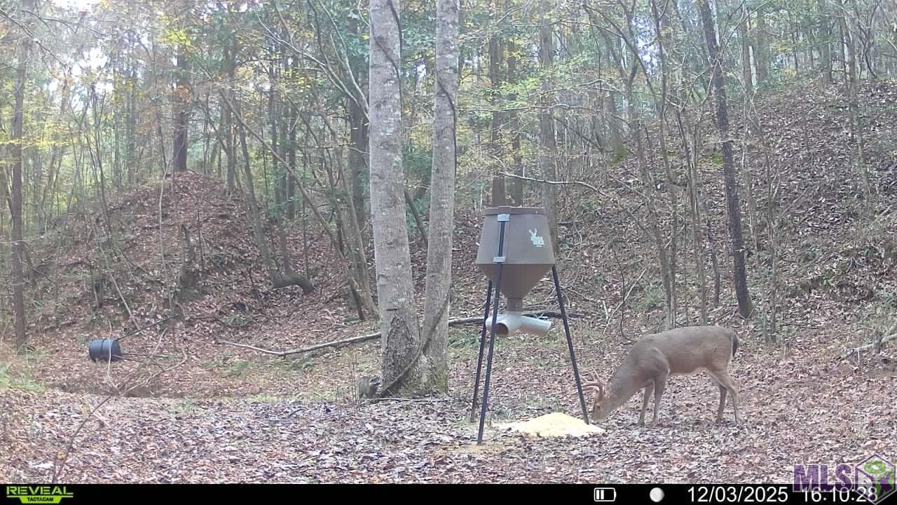 129 Ogden Road Natchez, MS 39120 - Photo 5 of 60