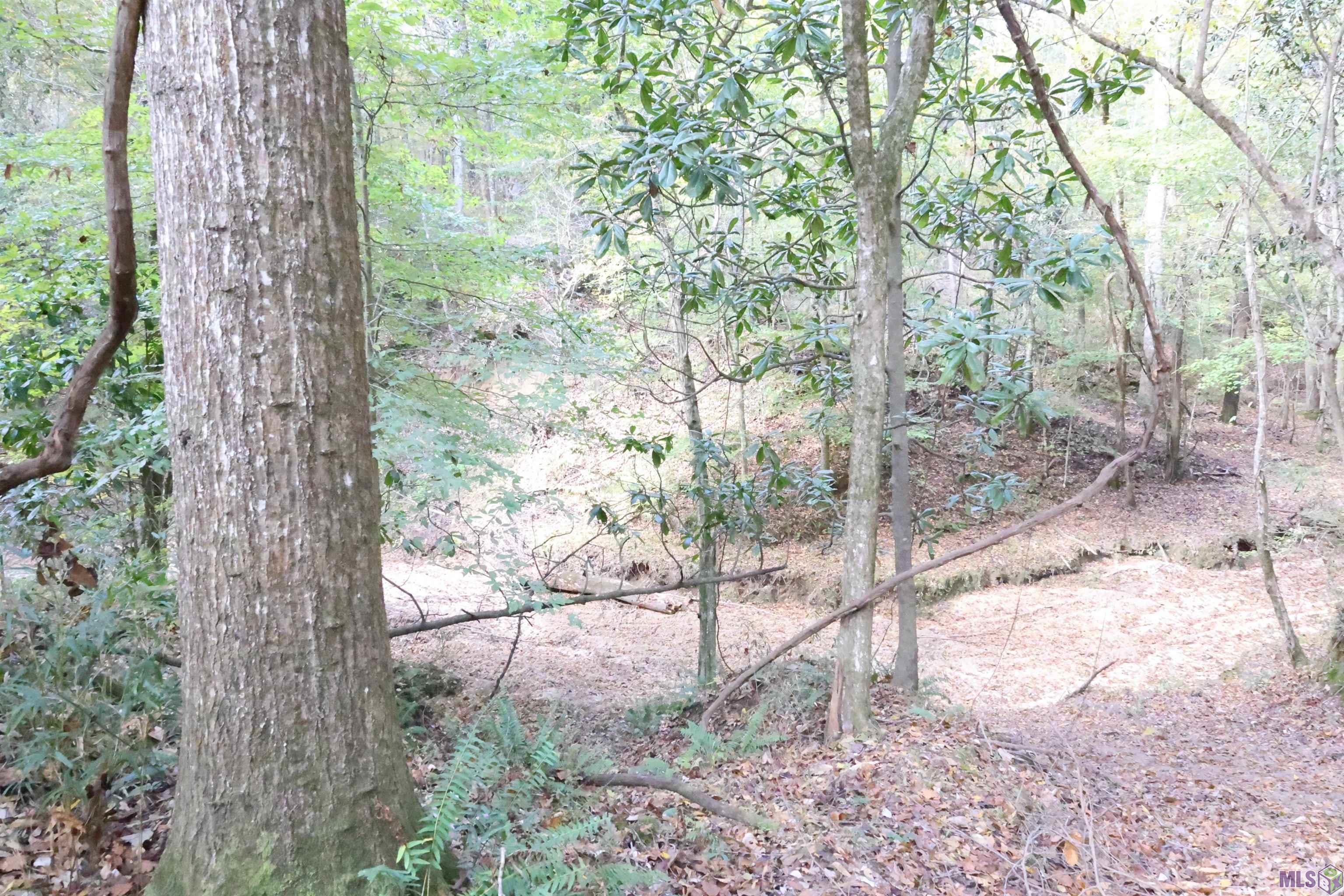 129 Ogden Road Natchez, MS 39120 - Photo 52 of 60