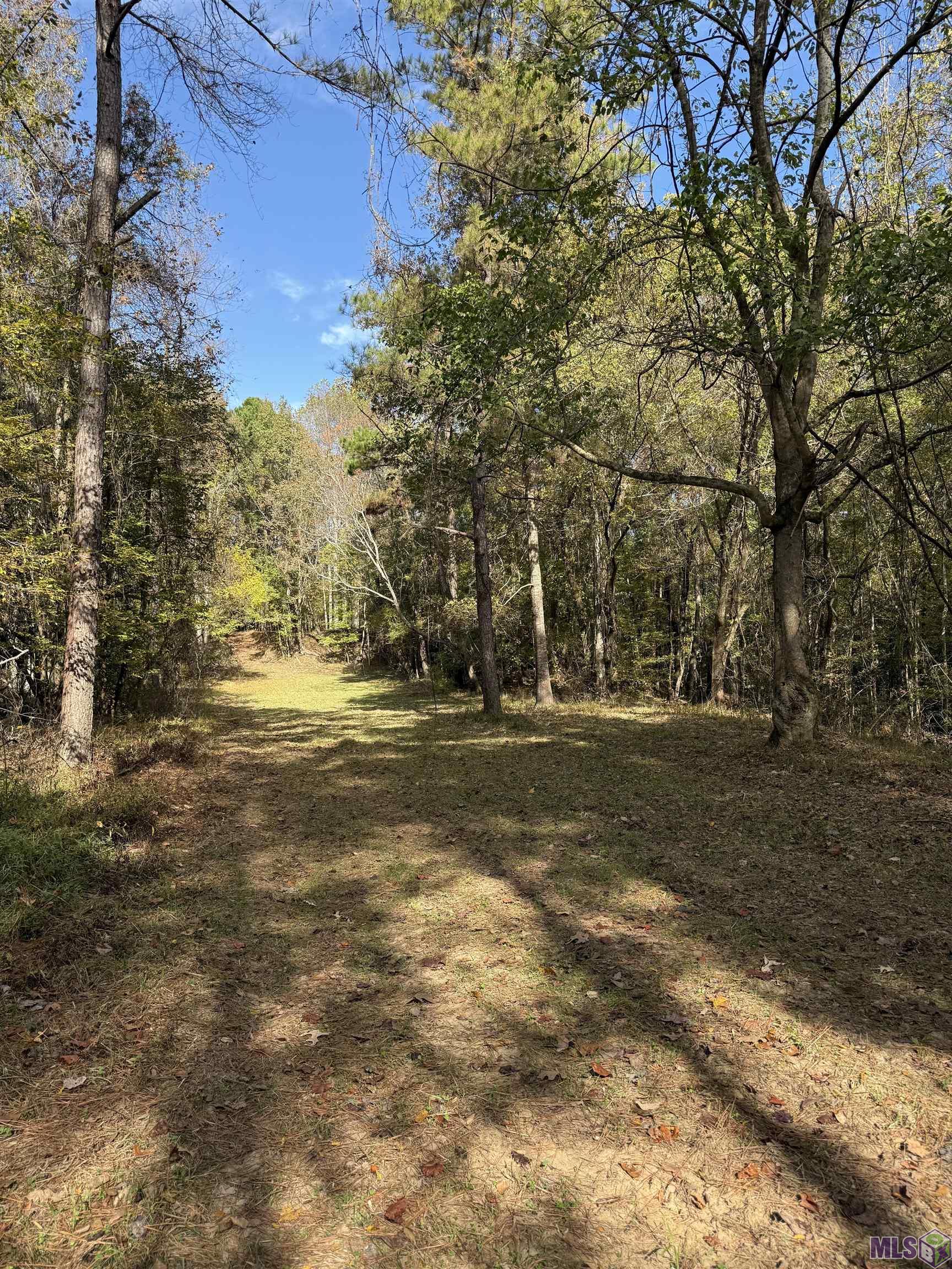 129 Ogden Road Natchez, MS 39120 - Photo 57 of 60