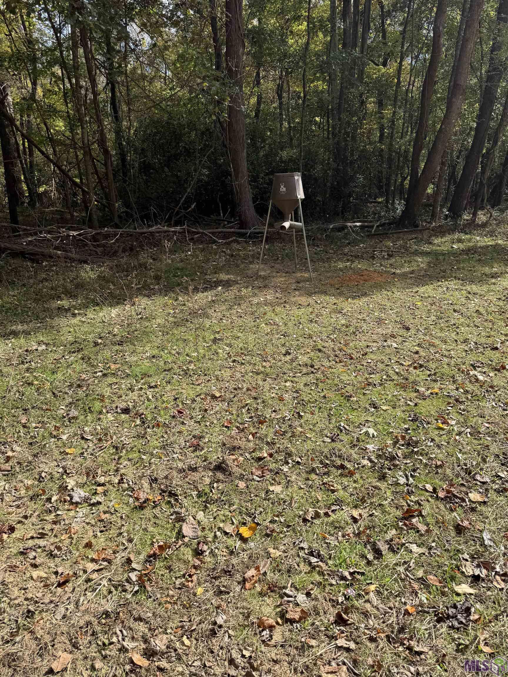 129 Ogden Road Natchez, MS 39120 - Photo 58 of 60