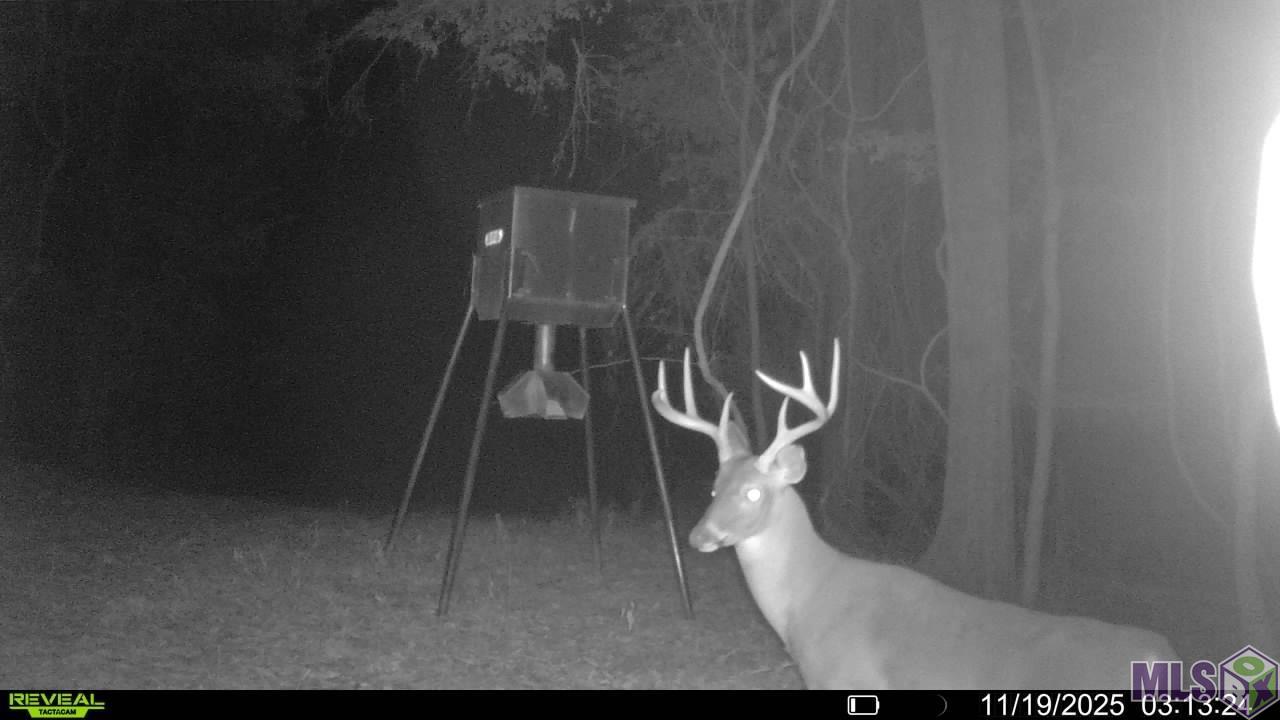 129 Ogden Road Natchez, MS 39120 - Photo 6 of 60