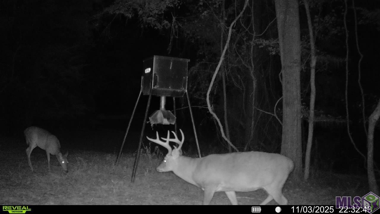 129 Ogden Road Natchez, MS 39120 - Photo 7 of 60