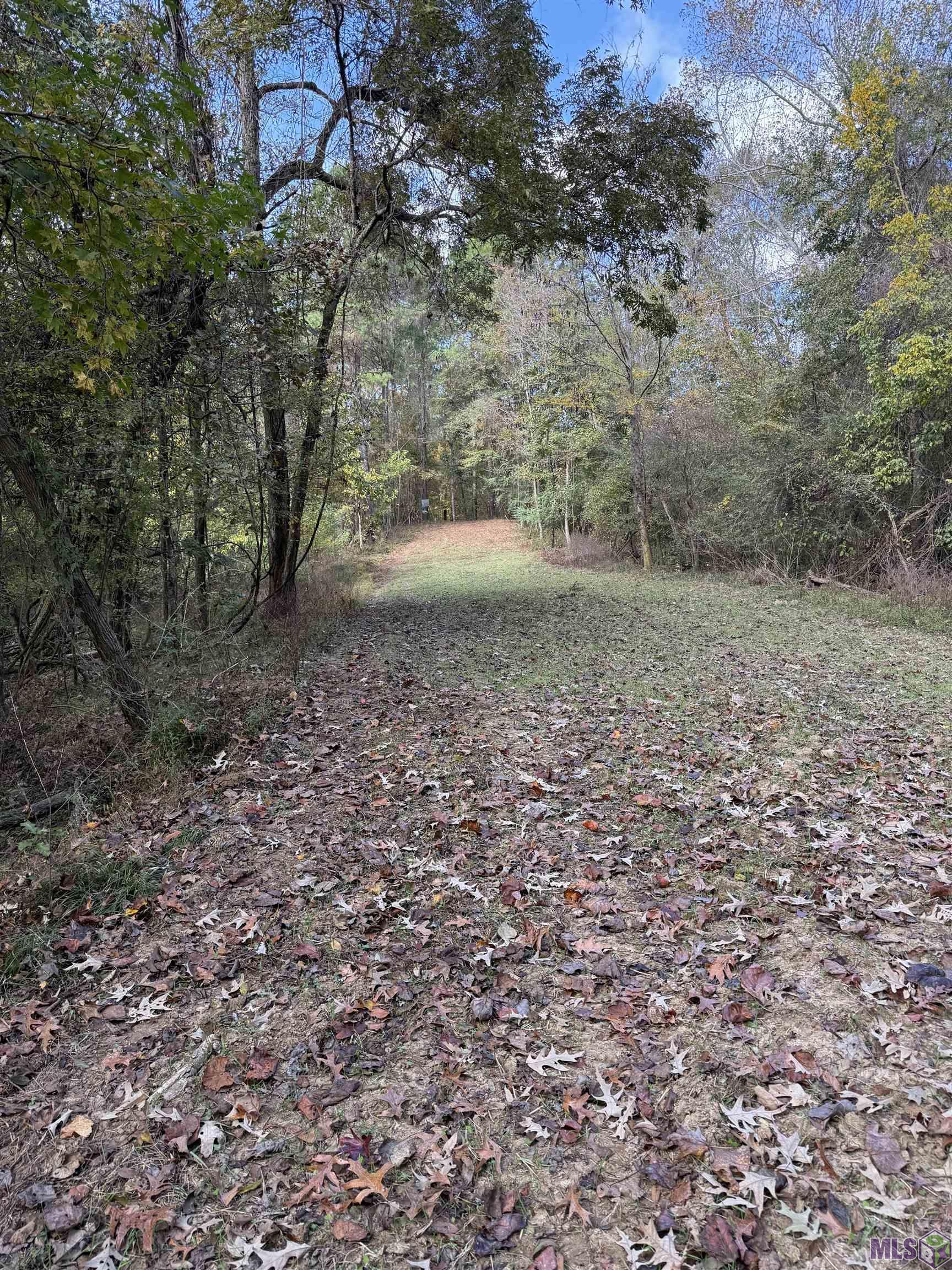 129 Ogden Road Natchez, MS 39120 - Photo 8 of 60