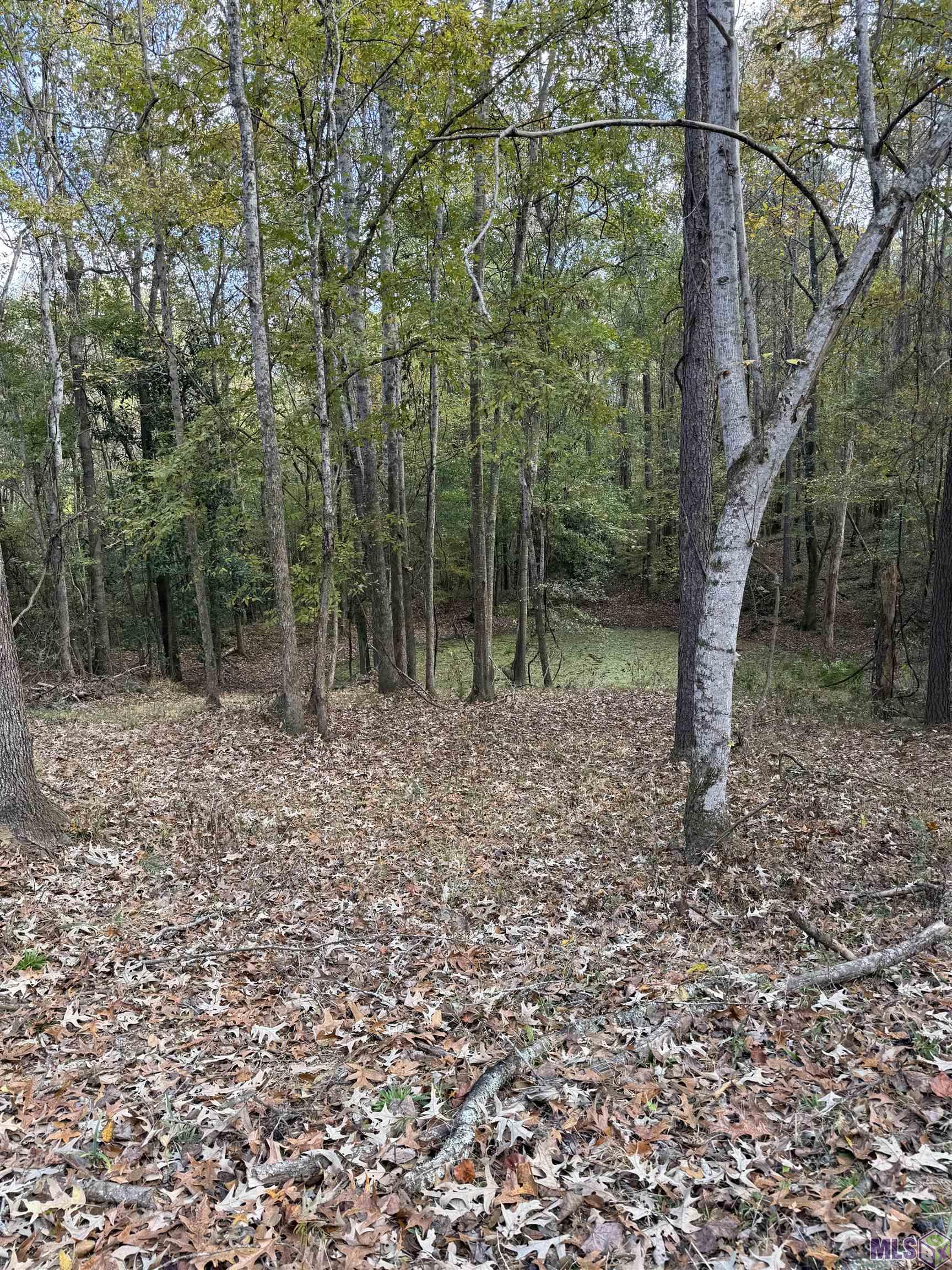 129 Ogden Road Natchez, MS 39120 - Photo 9 of 60