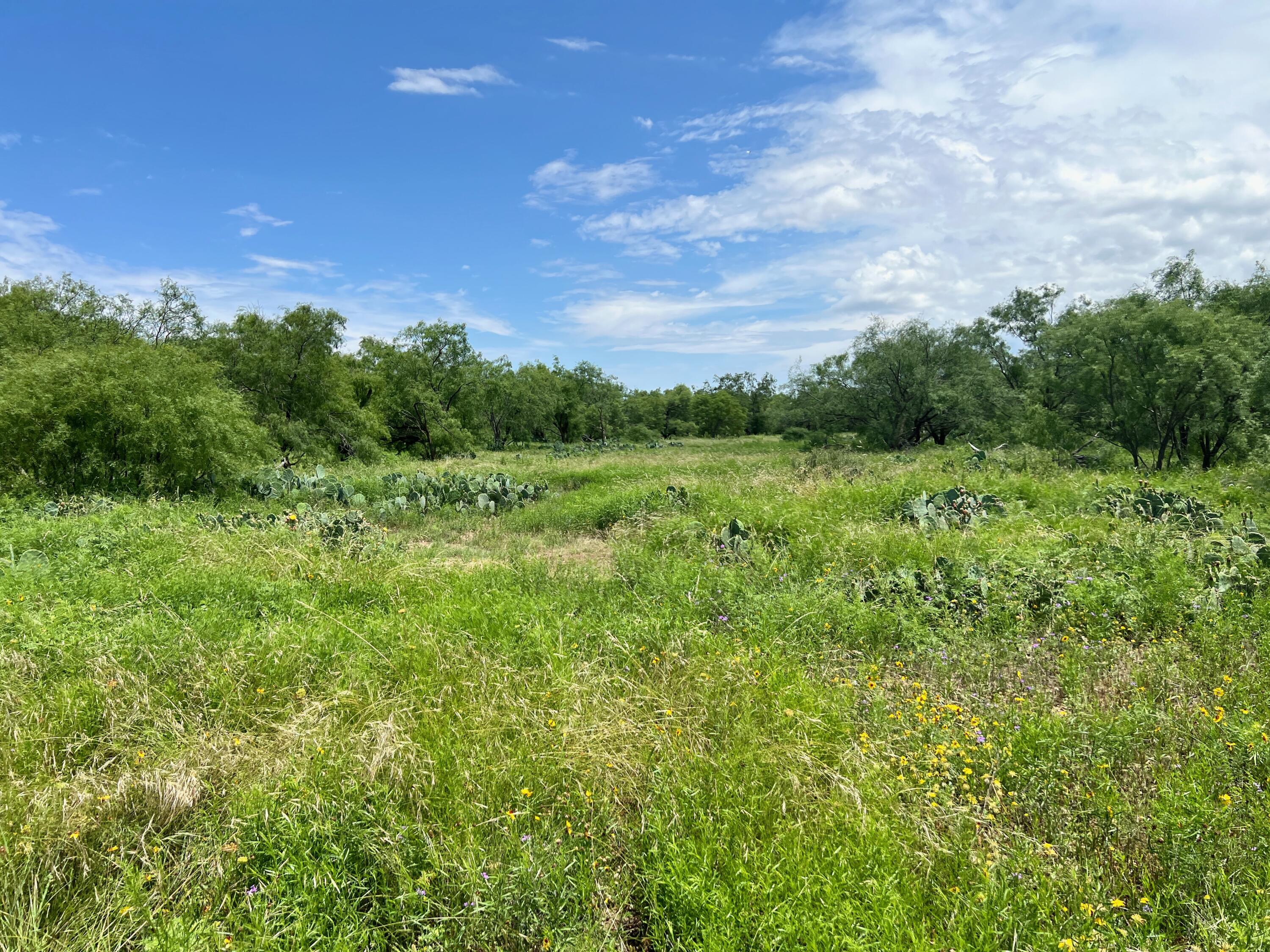 1818 County Road 267 Ballinger, TX 76821 - Photo 57 of 70 IMG_8603