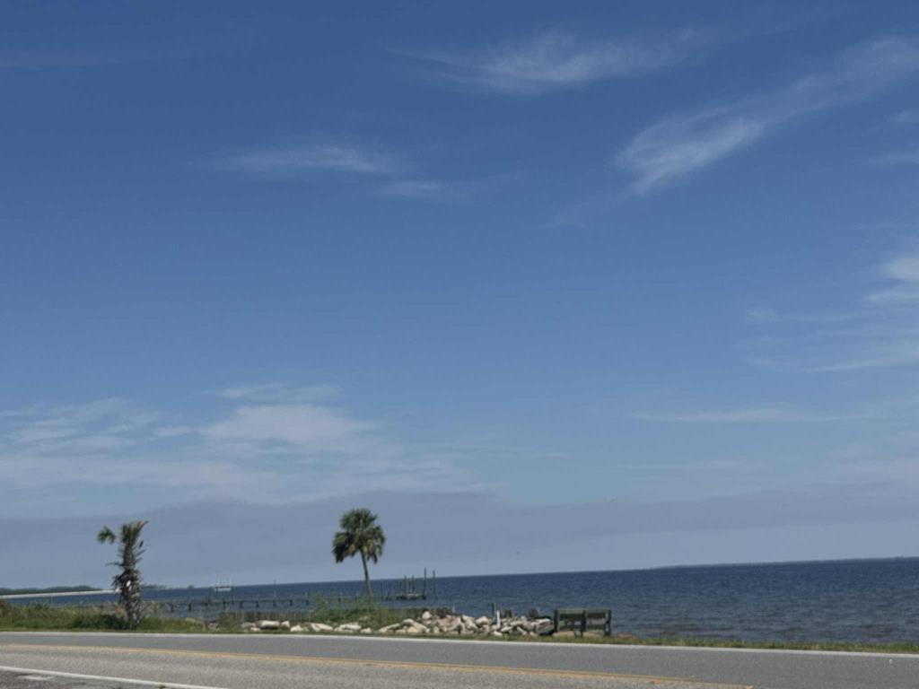 208 Woodill Road Carrabelle, FL 32322 - Photo 16 of 18 Gallery Image 16