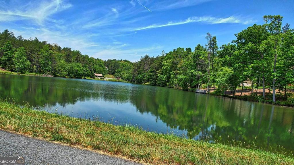 86 Fox Ridge Blairsville, GA 30512 - Photo 78 of 83