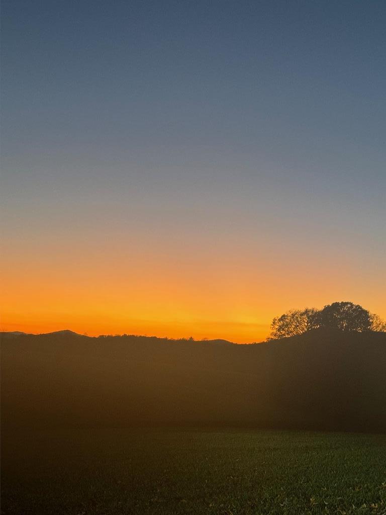 86 Fox Ridge Blairsville, GA 30512 - Photo 82 of 83