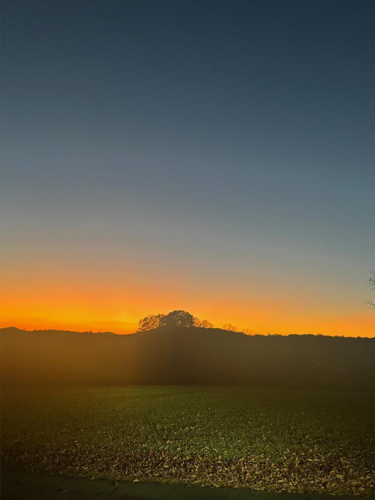 86 Fox Ridge Blairsville, GA 30512 - Photo 83 of 83