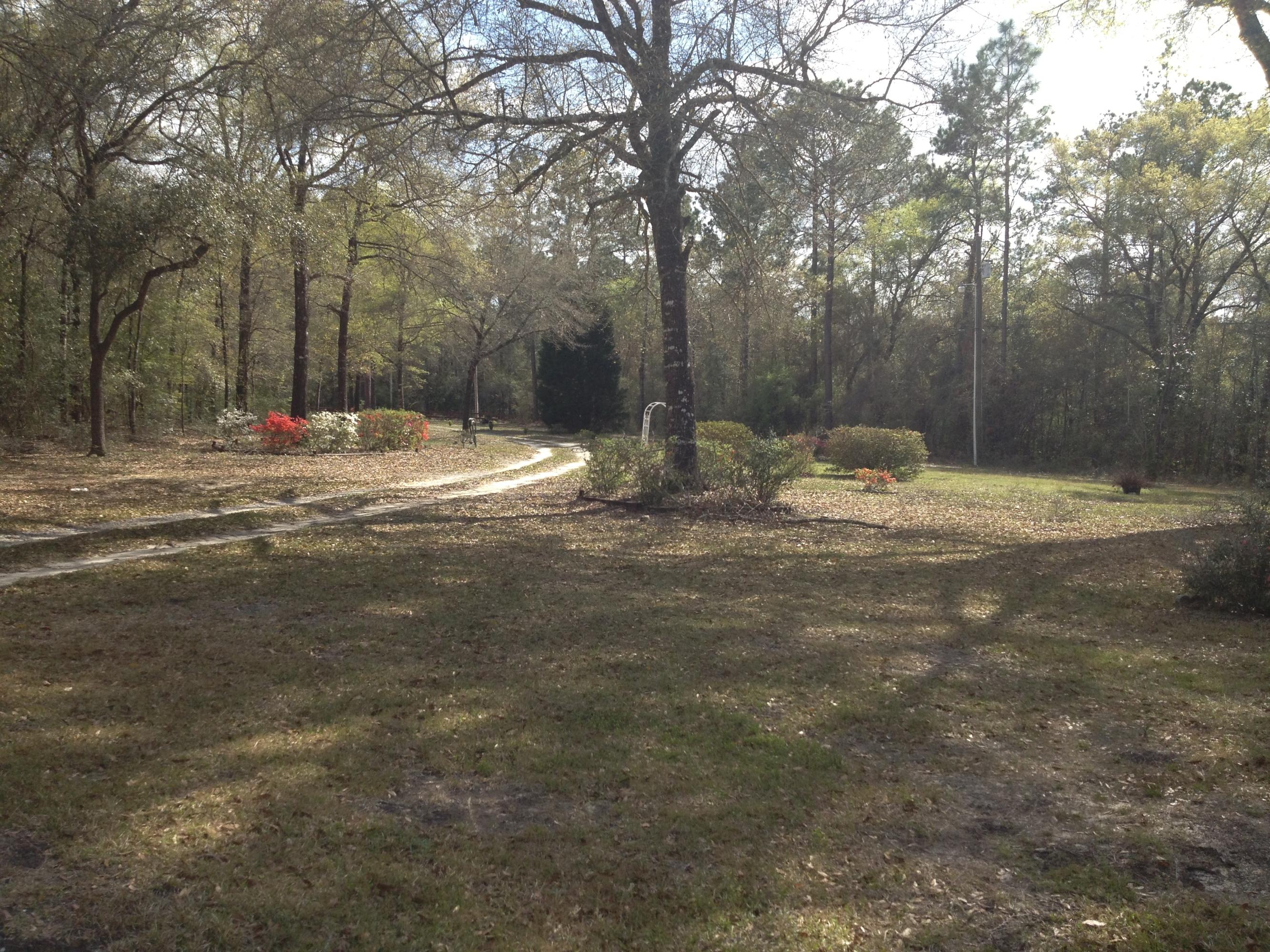4217 Poverty Creek Road Crestview, FL 32539 - Photo 5 of 8 a fire hydrant in the middle of a field
