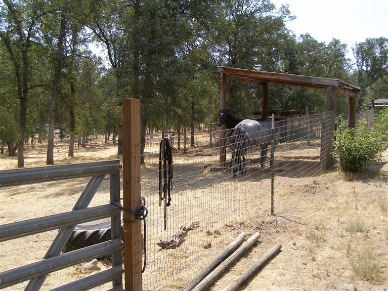 34415 Lodge Road Tollhouse, CA 93667 - Photo 6 of 11 Gallery Image 6