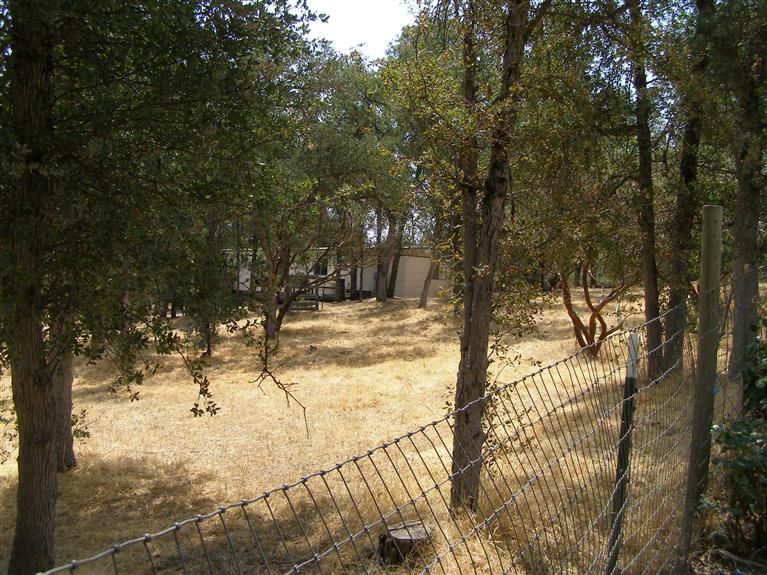 34415 Lodge Road Tollhouse, CA 93667 - Photo 9 of 11 Gallery Image 9