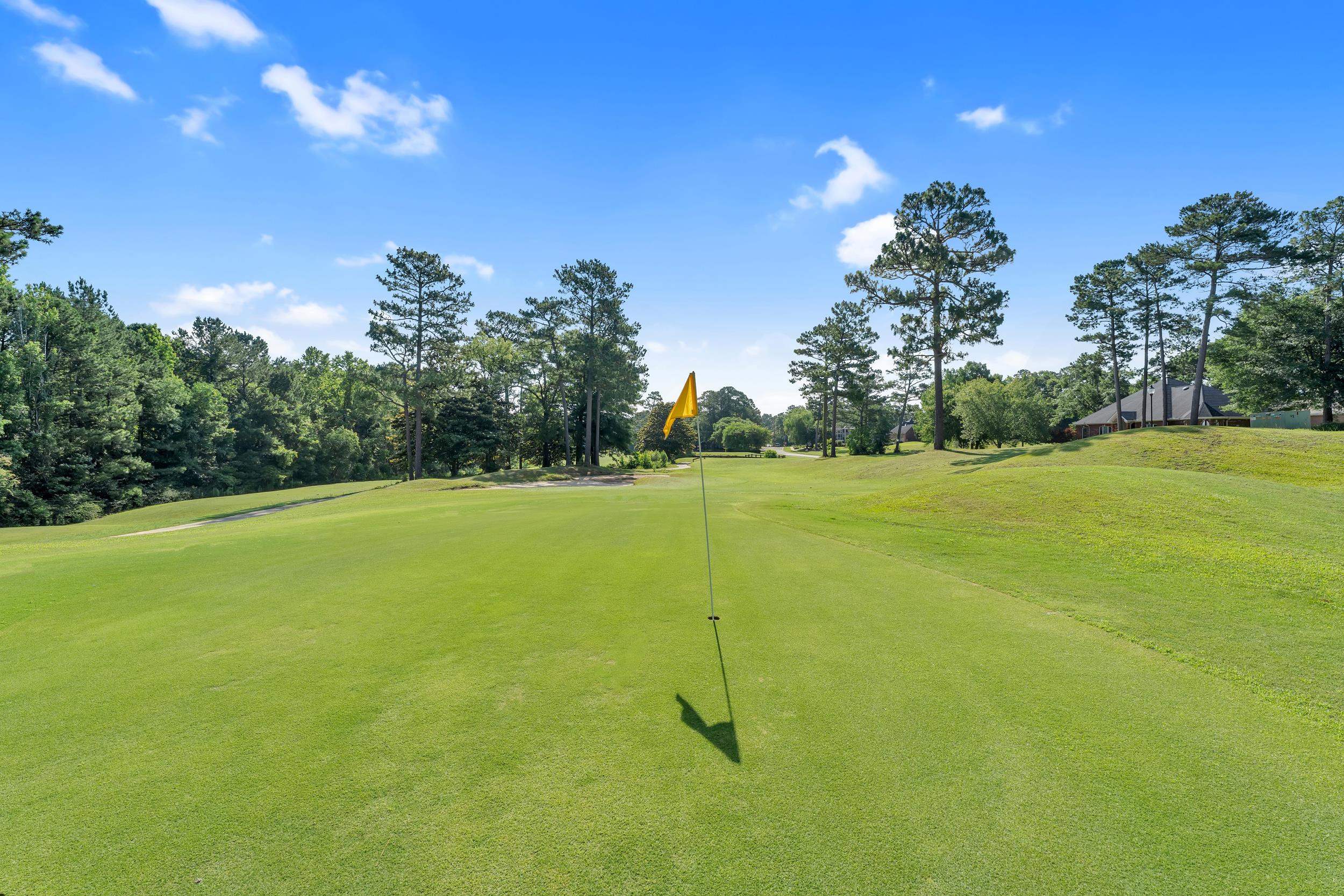 30191 Loblolly Circle Daphne, AL 36527 - Photo 44 of 49 Golf Court