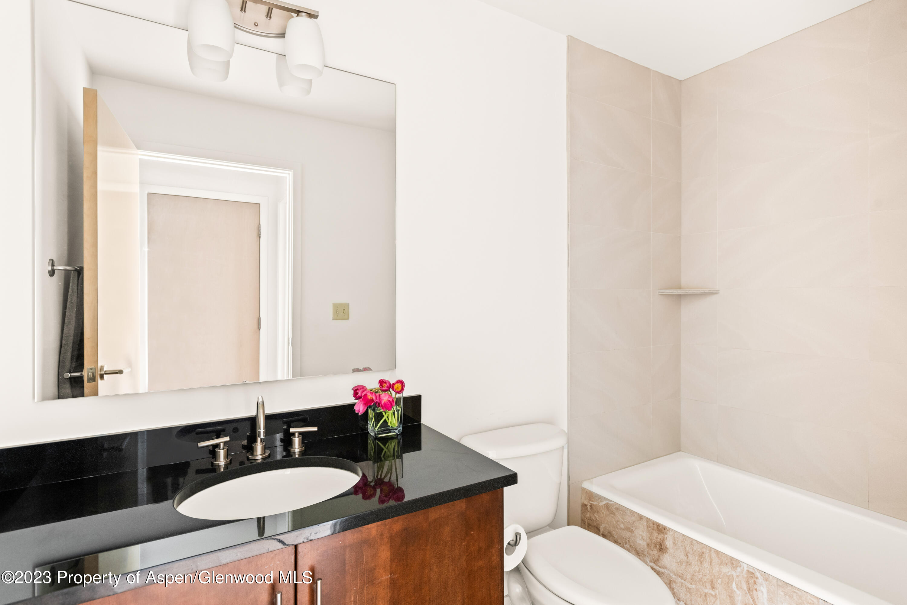 361 Robinson Street, Unit 326 Basalt, CO 81621 - Photo 7 of 10 a bathroom with a sink and a mirror
