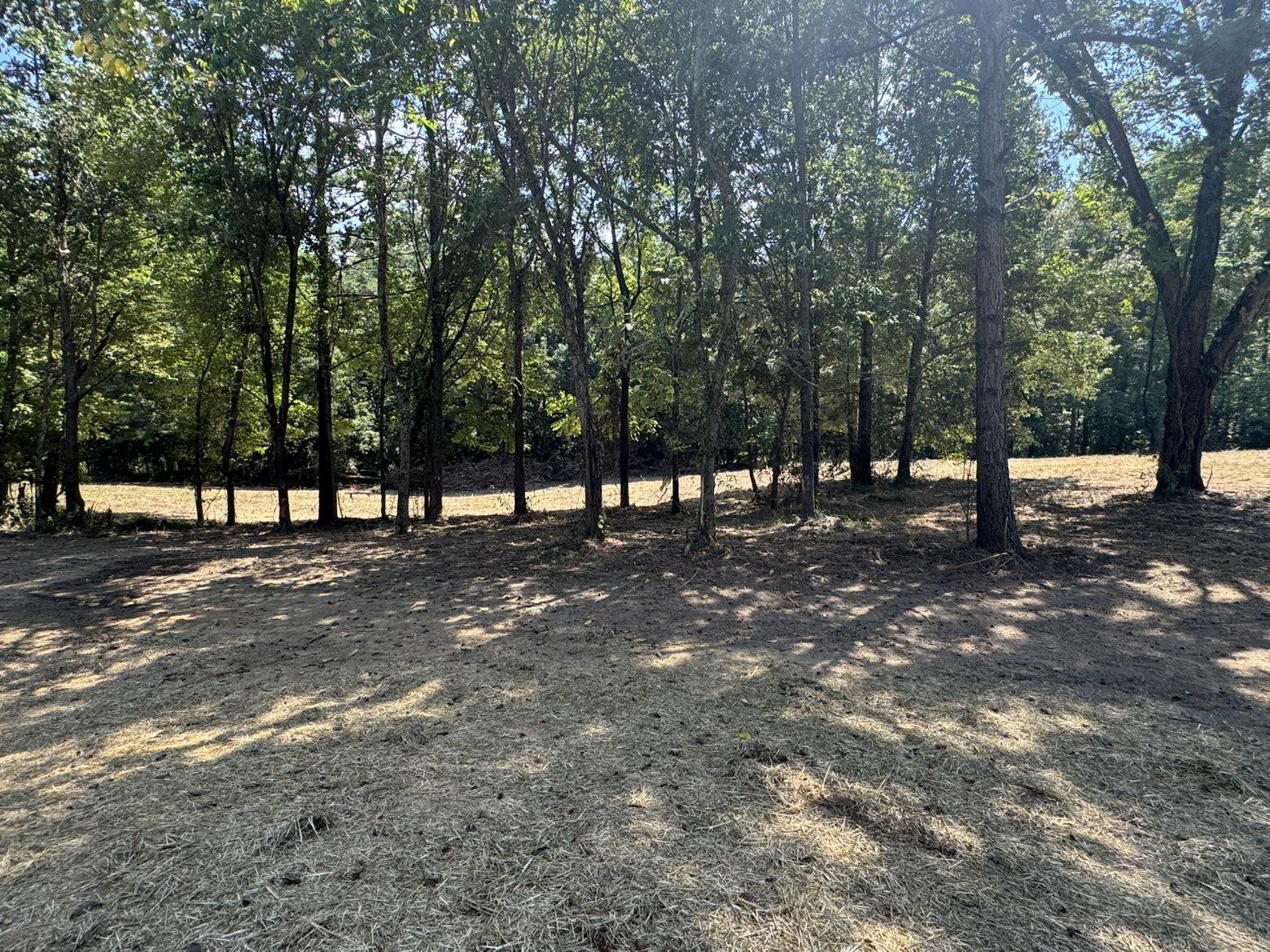 3540 Portersville Road Atoka, TN 38004 - Photo 32 of 37 Expansive cleared lot with mature trees, offering ample space for development
