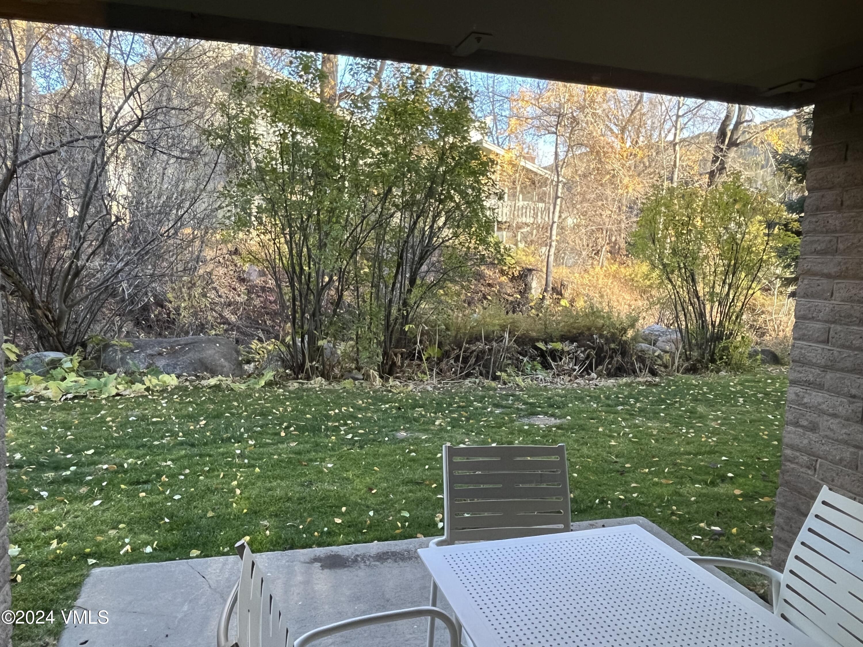 1020 Vail View Drive, Unit 310438 Vail, CO 81657 - Photo 5 of 25 a view of backyard with green space