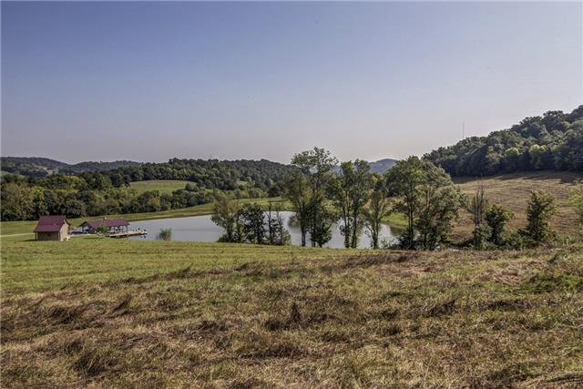 65 Racoon Branch Lane Hickman, TN 38567 - Photo 7 of 20 Gallery Image 7