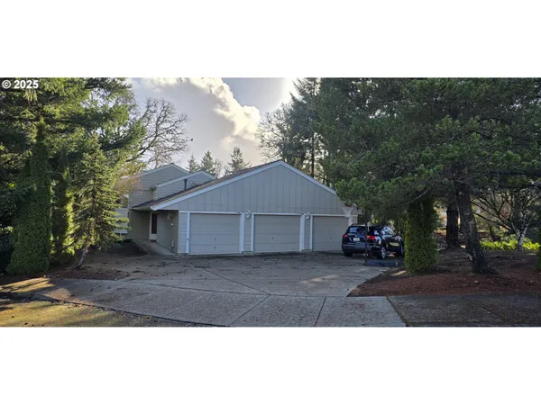 a view of backyard of house