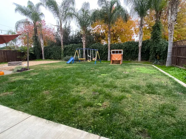 a front view of a house with a yard and tree