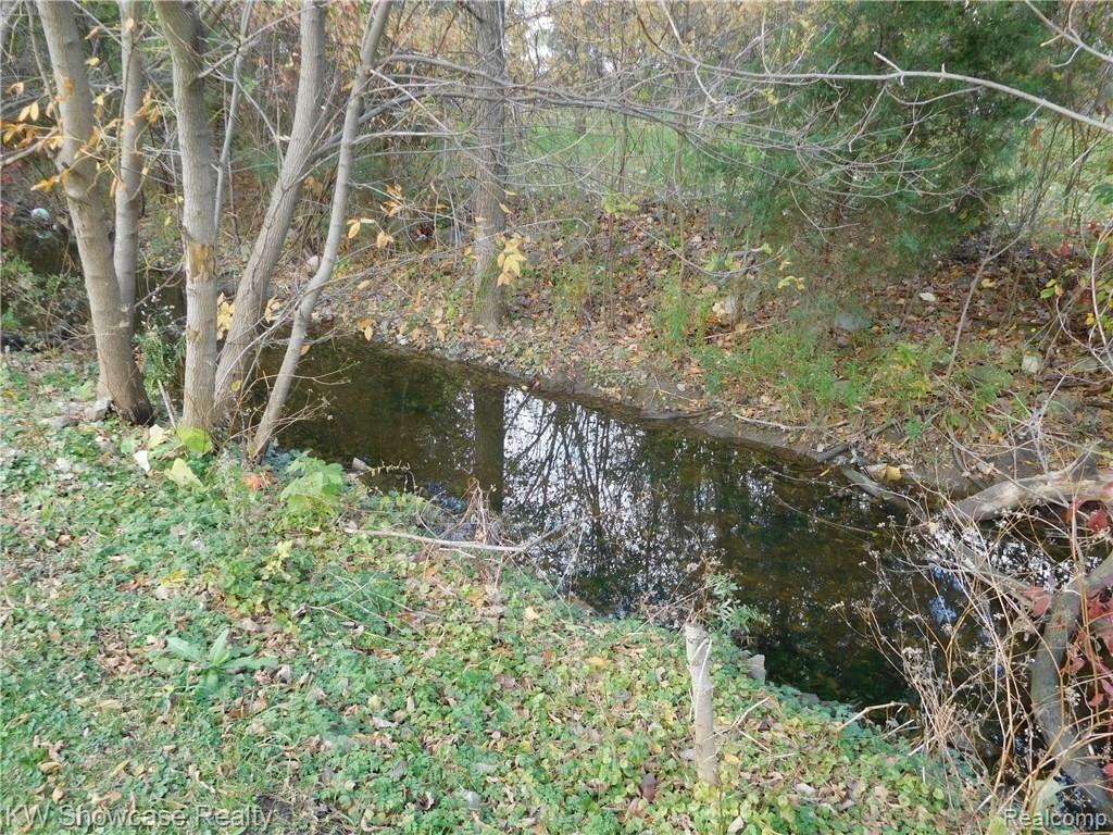 4249 East Hill Road Grand Blanc, MI 48439 - Photo 7 of 35 Creek