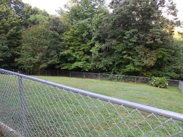 104 Honeysuckle Rose Road Vinton, VA 24179 - Photo 3 of 24 Front Yard II