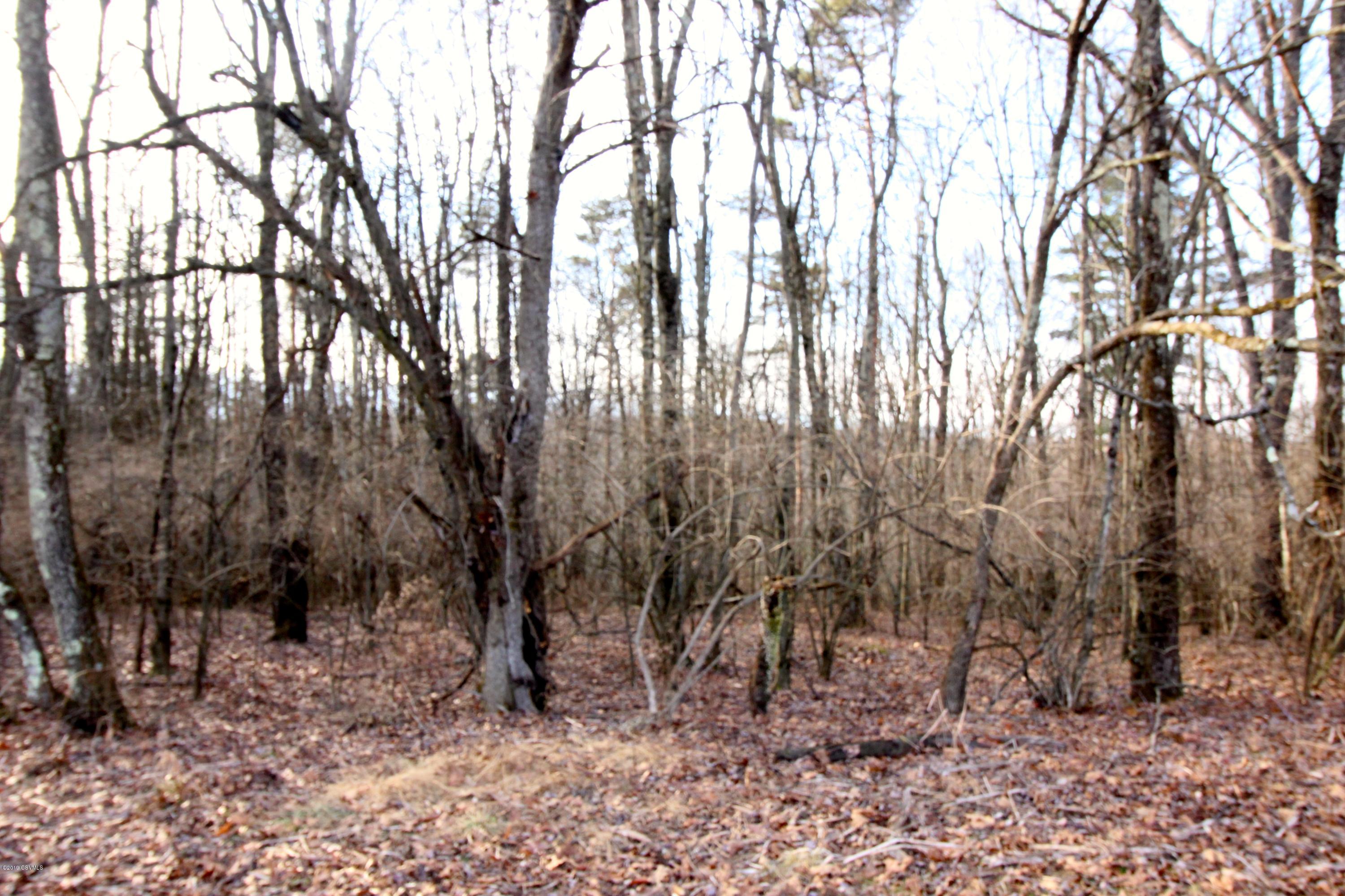 Ritter Ridge Road Millville, PA 17846 - Photo 2 of 6 Gallery Image 2