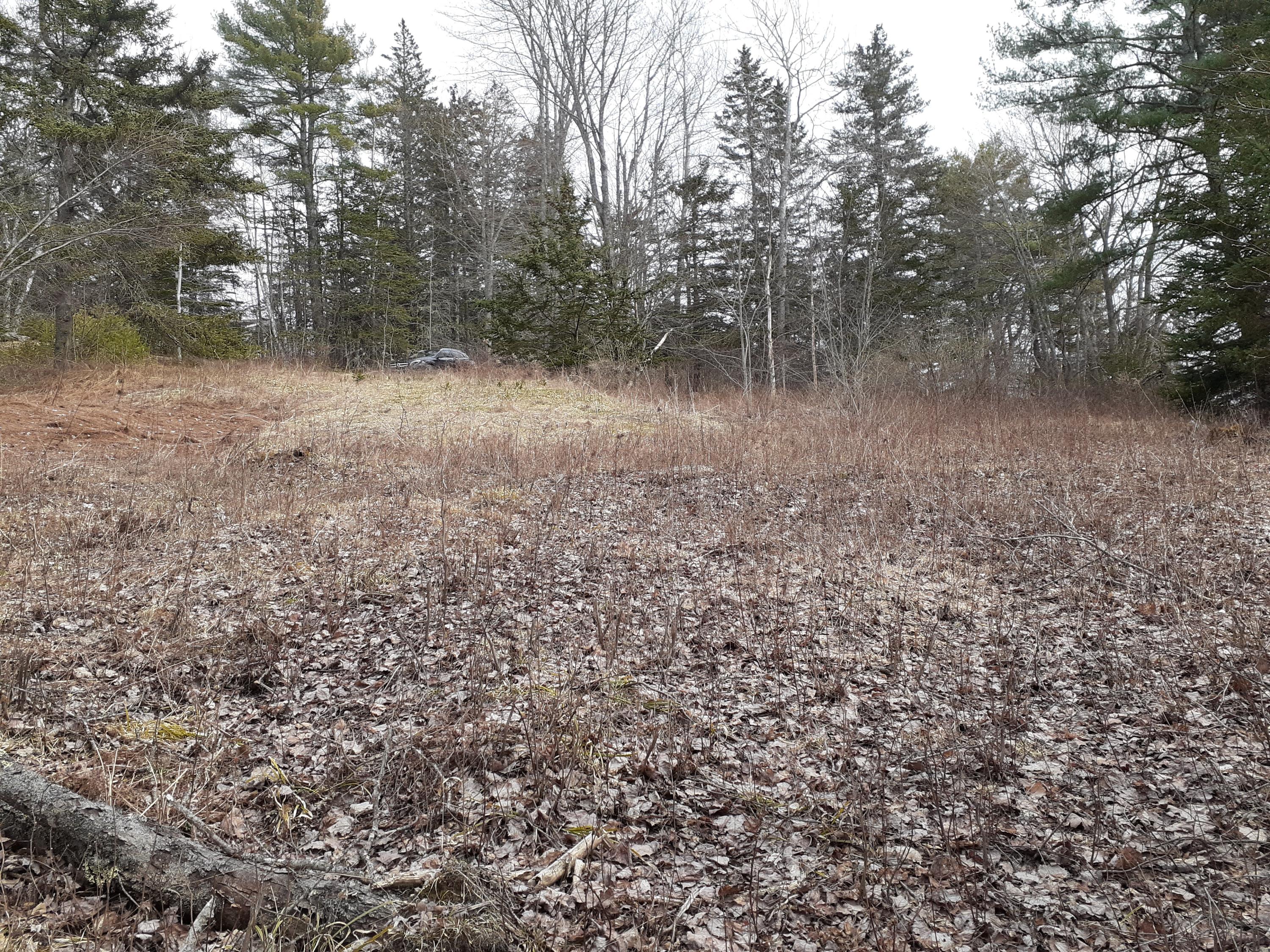 Lot 12 Raccoon Road Cushing, ME 04563 - Photo 6 of 8 20200420_150423 (2)