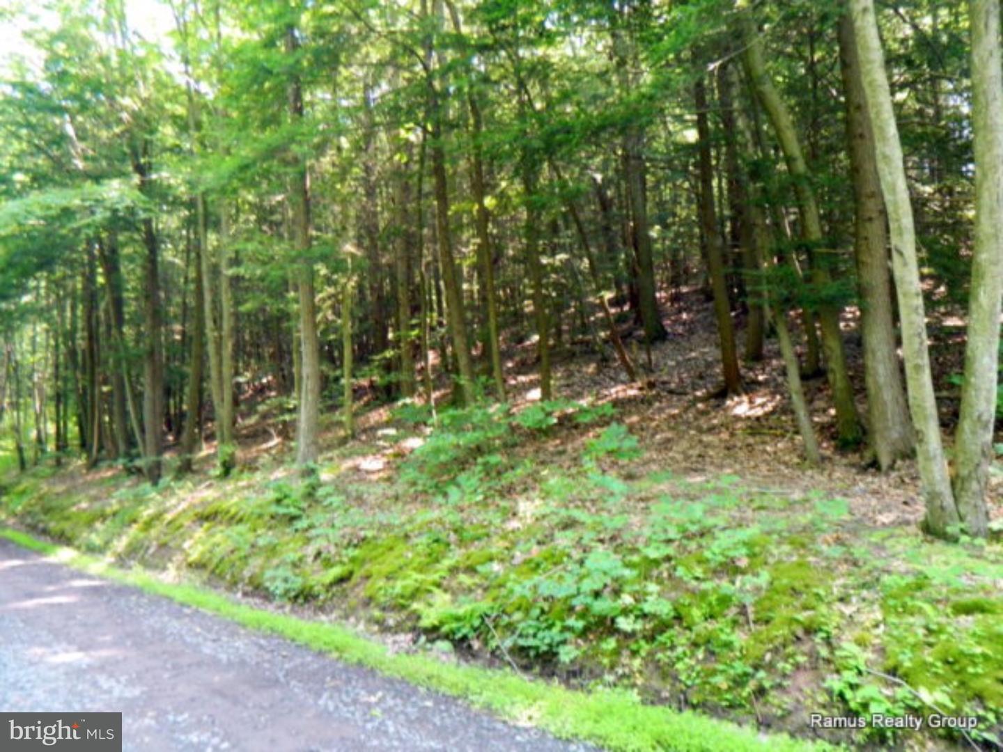0 South Runge Road Ashland, PA 17921 - Photo 1 of 3