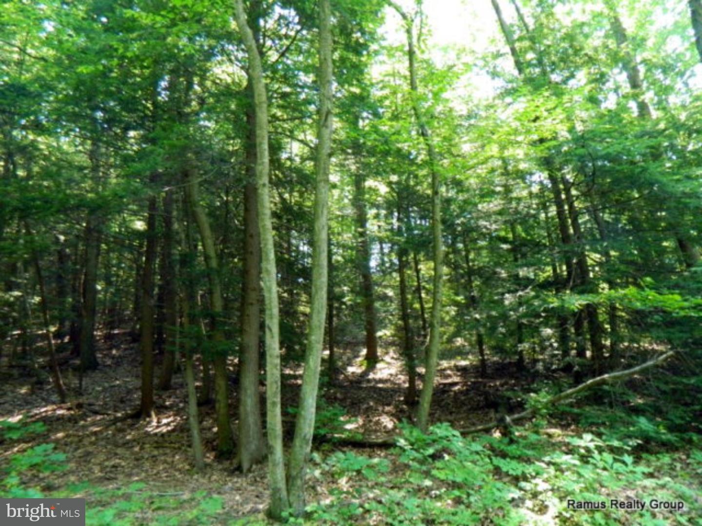0 South Runge Road Ashland, PA 17921 - Photo 2 of 3