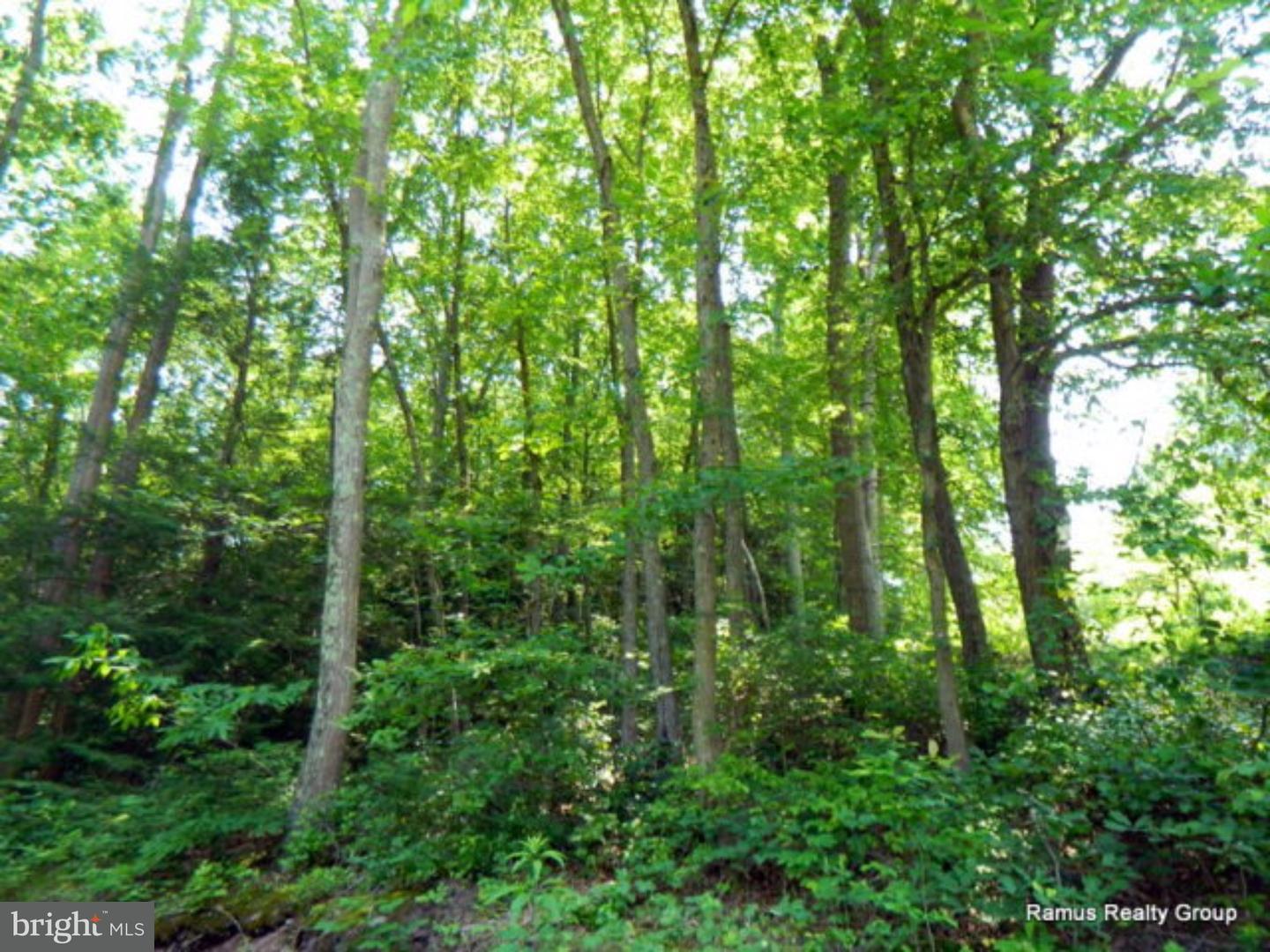 0 South Runge Road Ashland, PA 17921 - Photo 3 of 3