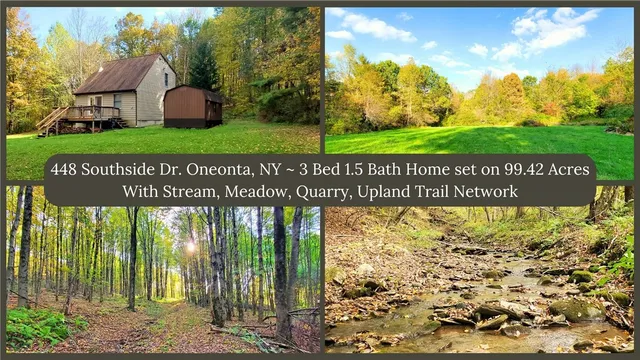$435,000 | 448 Southside Drive, Oneonta, NY 13820