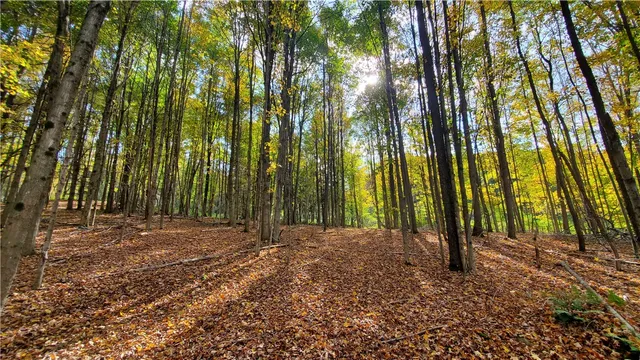 $435,000 | 448 Southside Drive, Oneonta, NY 13820