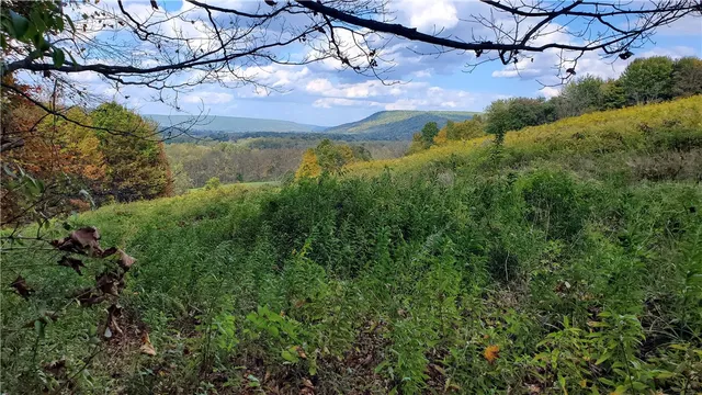 $435,000 | 448 Southside Drive, Oneonta, NY 13820