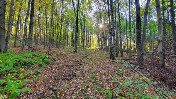 $435,000 | 448 Southside Drive, Oneonta, NY 13820