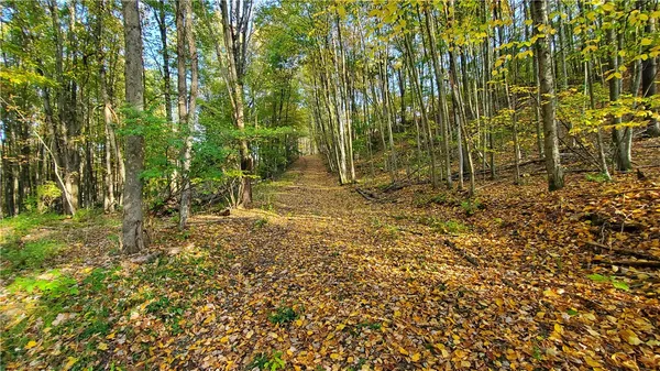 $435,000 | 448 Southside Drive, Oneonta, NY 13820