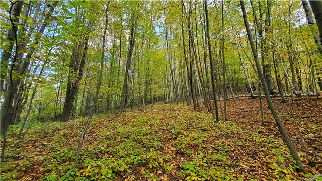 $435,000 | 448 Southside Drive, Oneonta, NY 13820