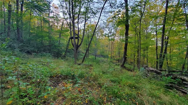 $435,000 | 448 Southside Drive, Oneonta, NY 13820