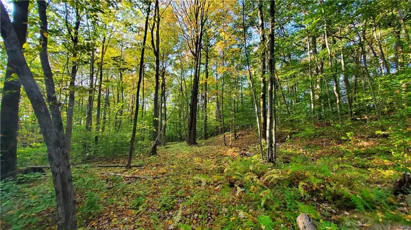 $435,000 | 448 Southside Drive, Oneonta, NY 13820