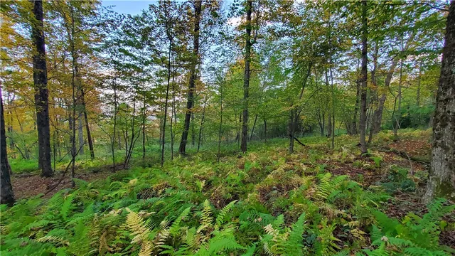 $435,000 | 448 Southside Drive, Oneonta, NY 13820