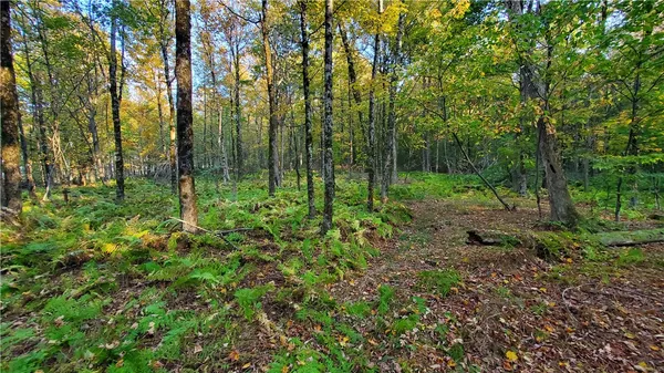 $435,000 | 448 Southside Drive, Oneonta, NY 13820