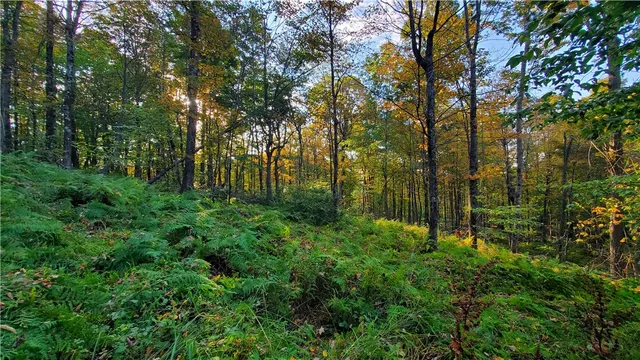 $435,000 | 448 Southside Drive, Oneonta, NY 13820