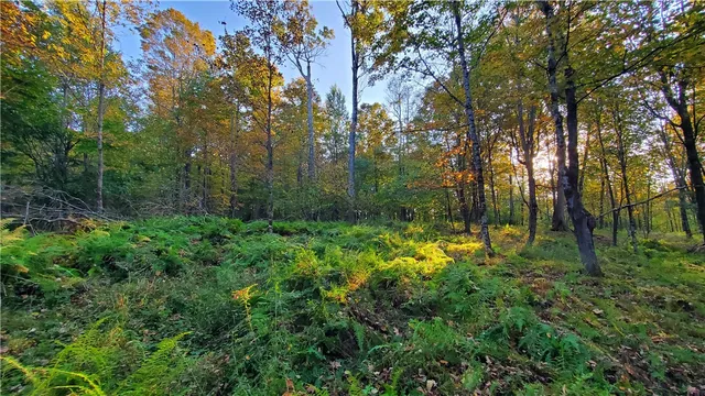 $435,000 | 448 Southside Drive, Oneonta, NY 13820