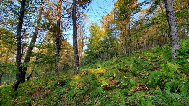 $435,000 | 448 Southside Drive, Oneonta, NY 13820