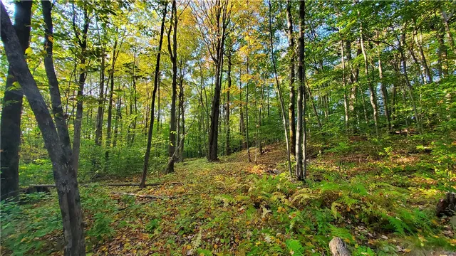 $435,000 | 448 Southside Drive, Oneonta, NY 13820