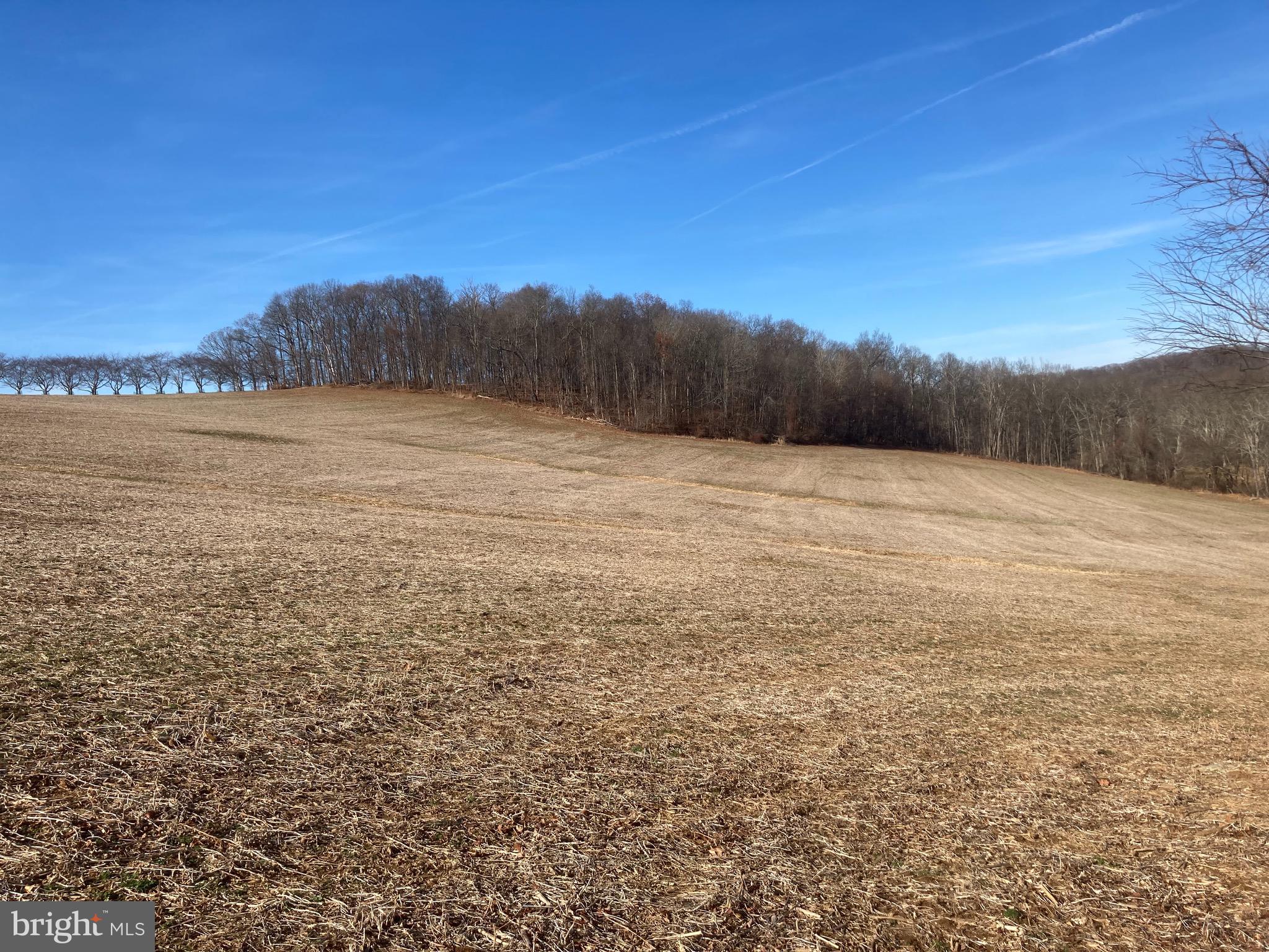 2000 Harris Mill Road Parkton, MD 21120 - Photo 117 of 146 Gallery Image 117