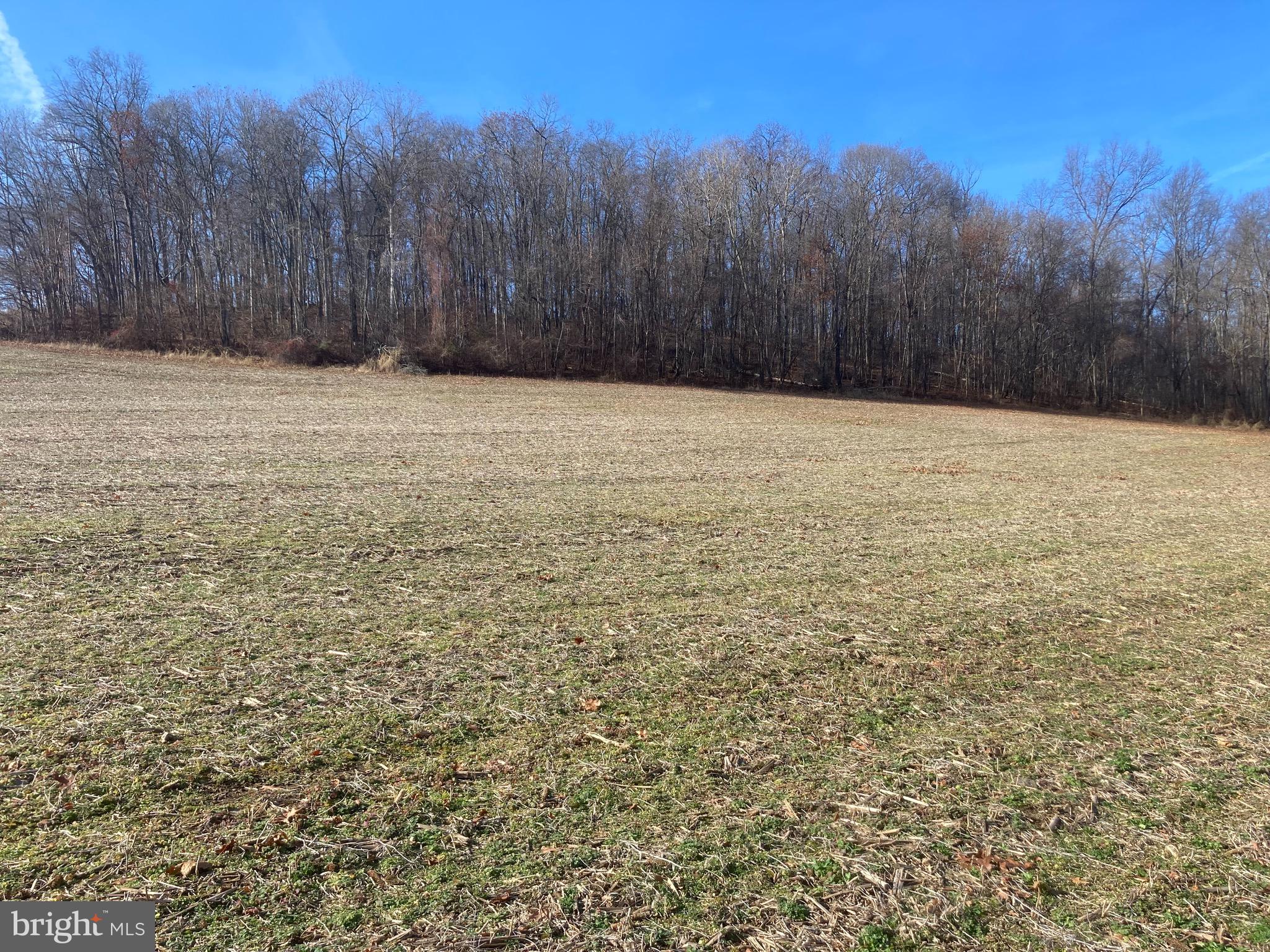 2000 Harris Mill Road Parkton, MD 21120 - Photo 118 of 146 Gallery Image 118